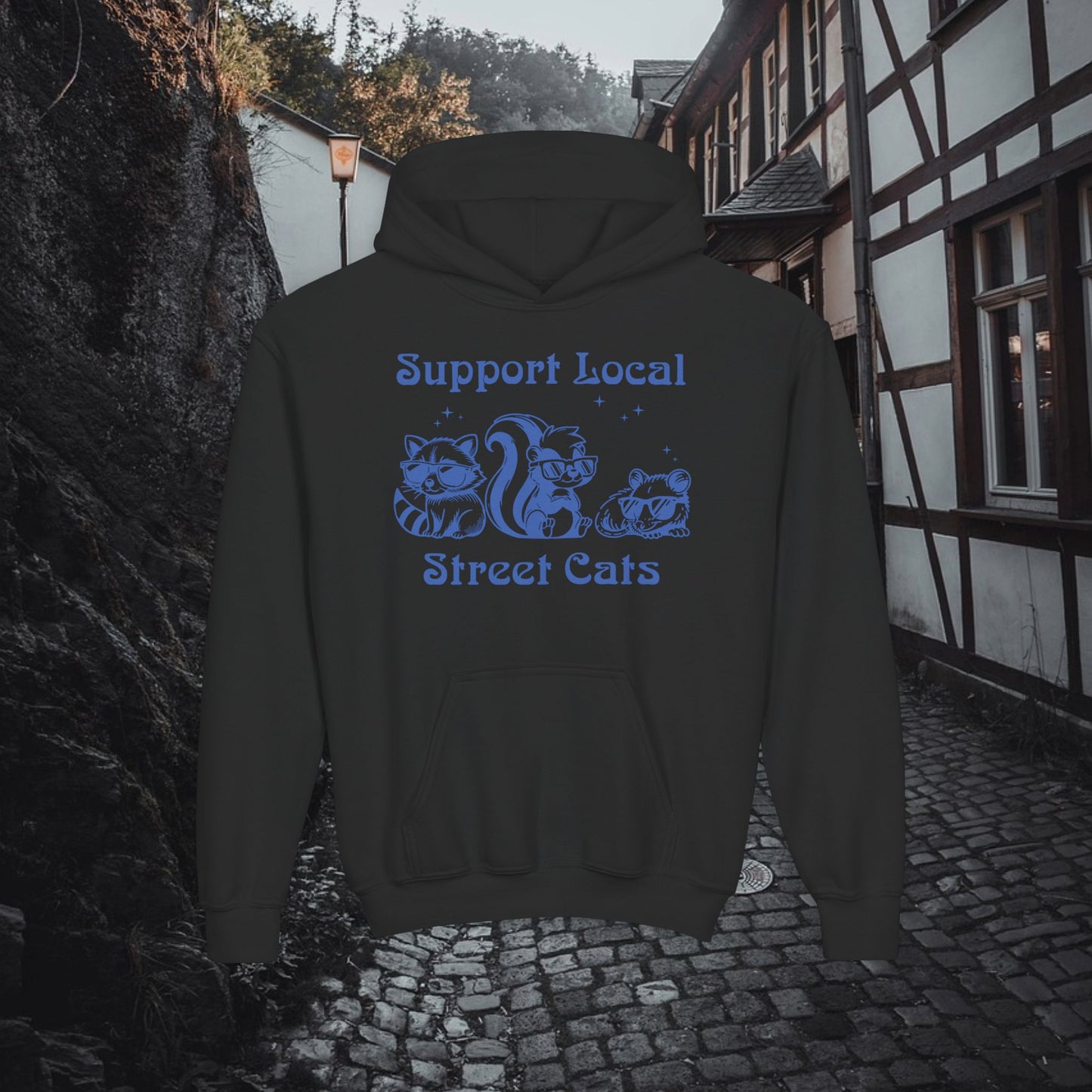 Support Local Street Cats Youth Hoodie