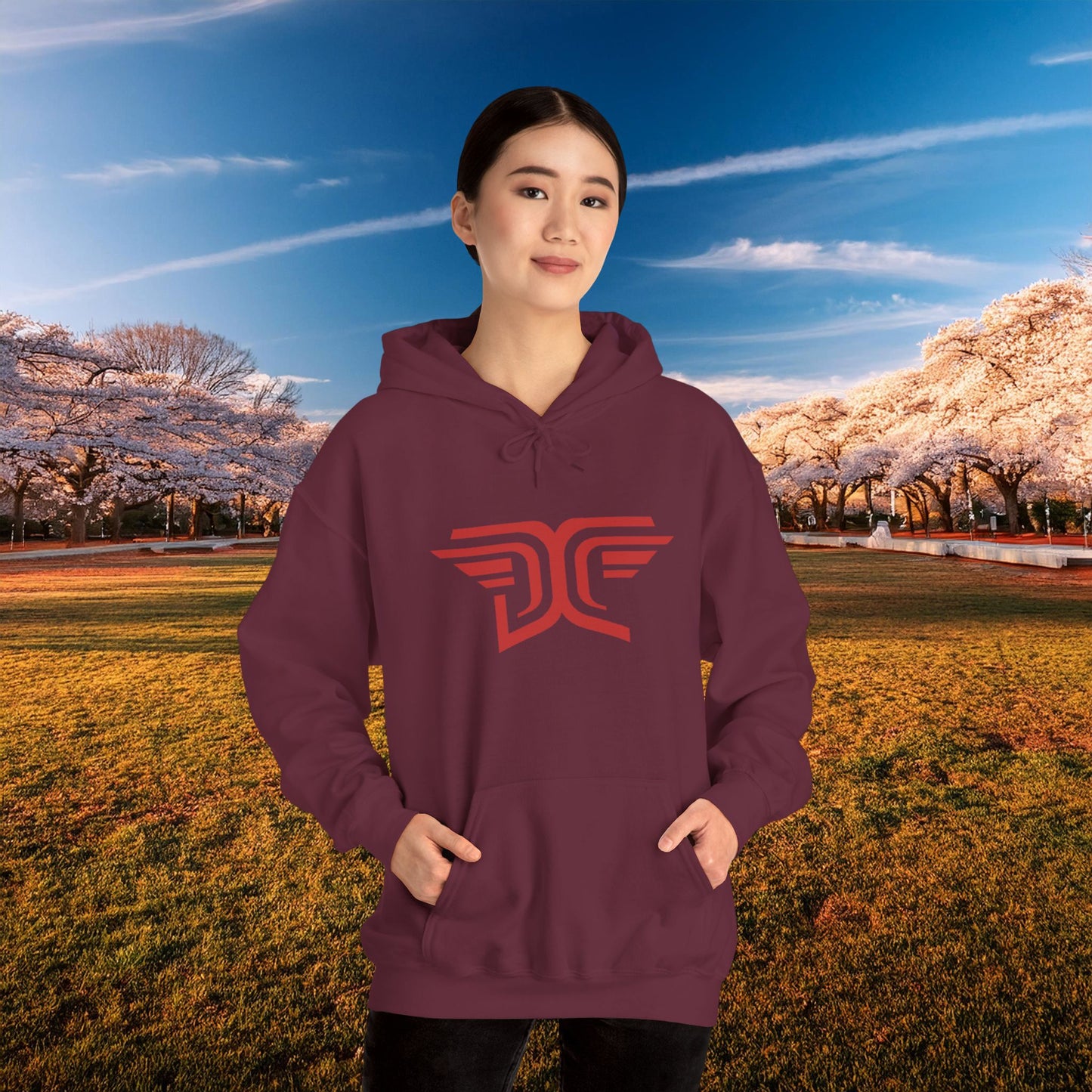 Winged DC Hoodie