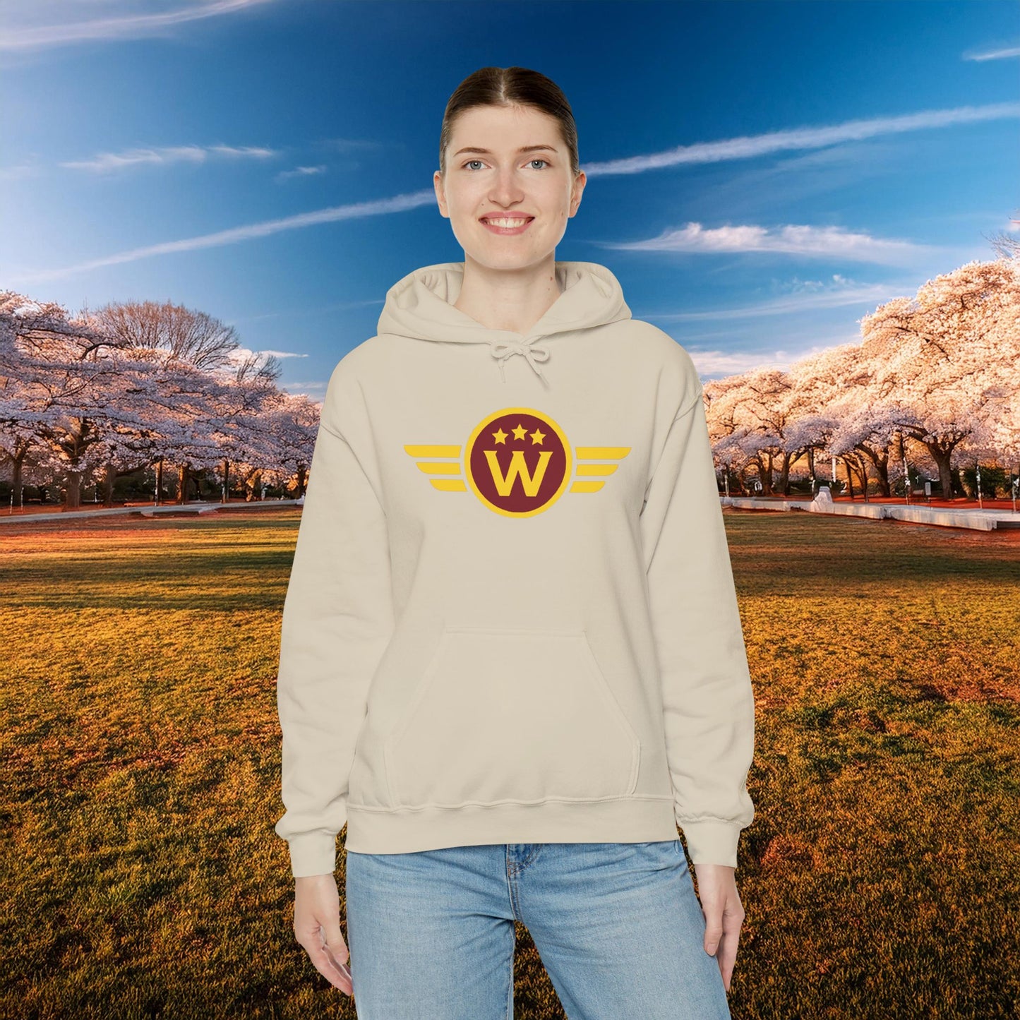 Washington DC Football Logo Hoodie