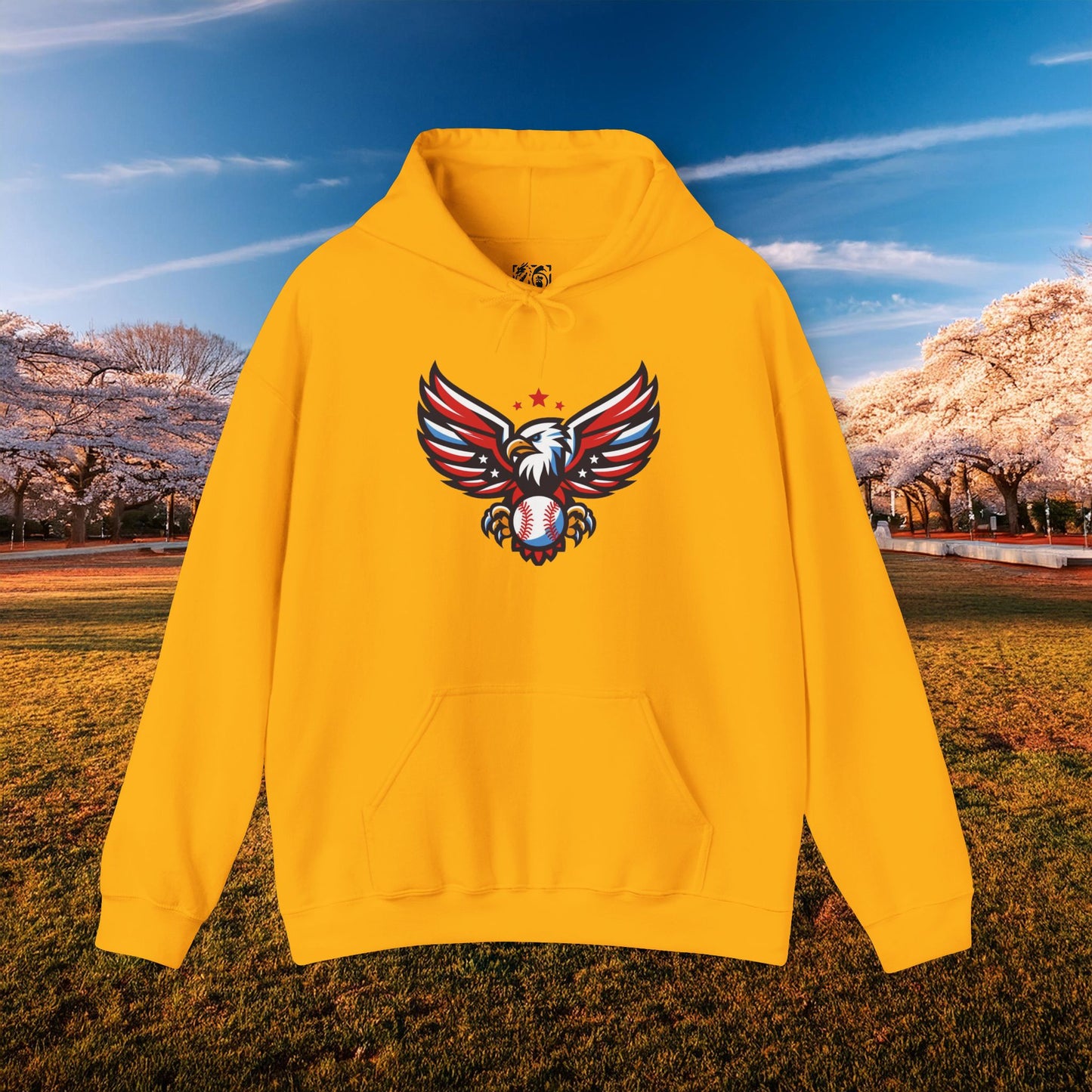 Washington Baseball Eagle Hoodie