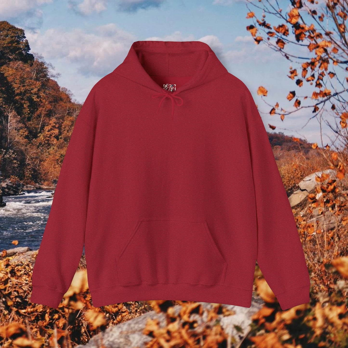 Raccoon Coffee Hoodie