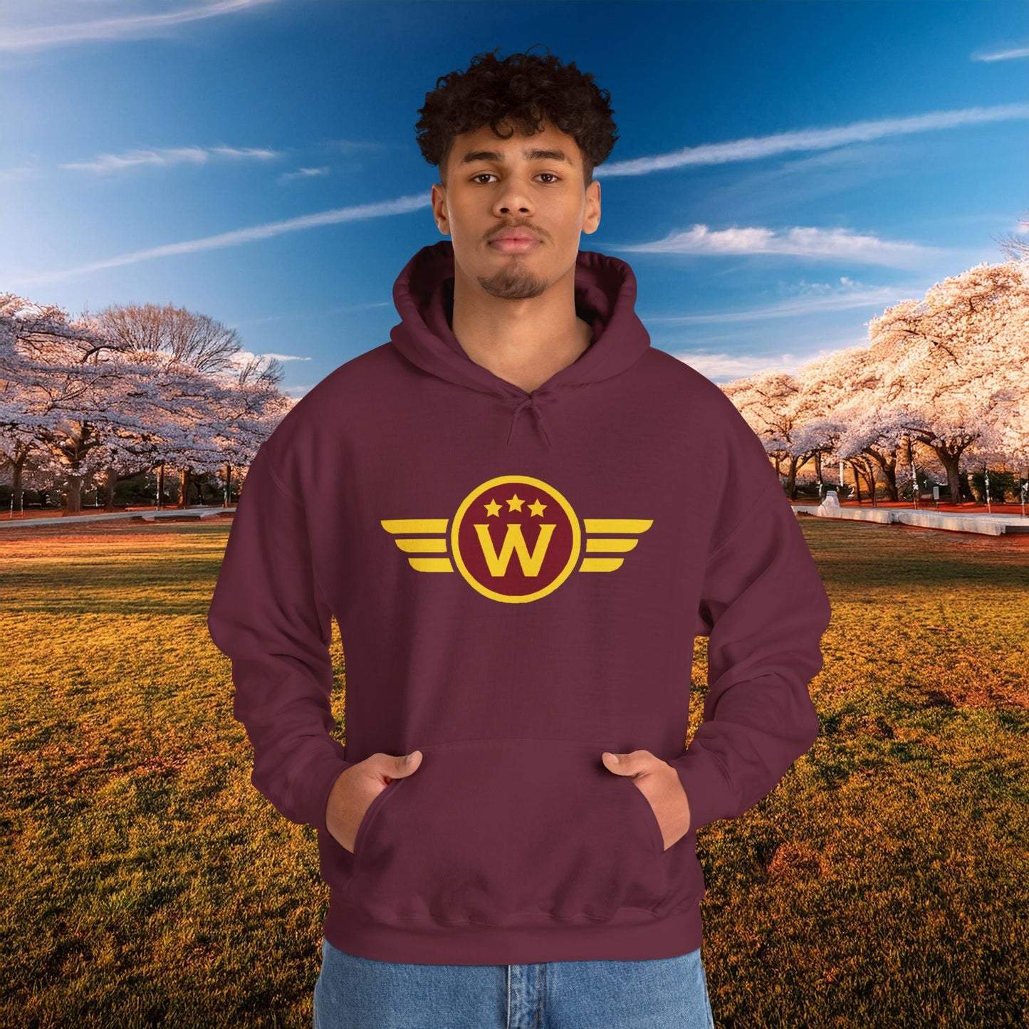 Washington DC Football Logo Hoodie