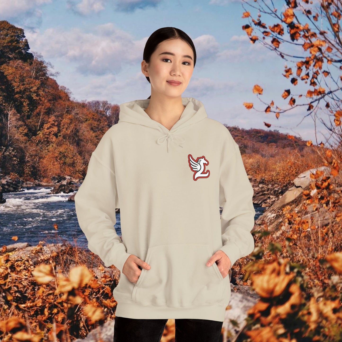 Loudoun Pegasus Hoodie