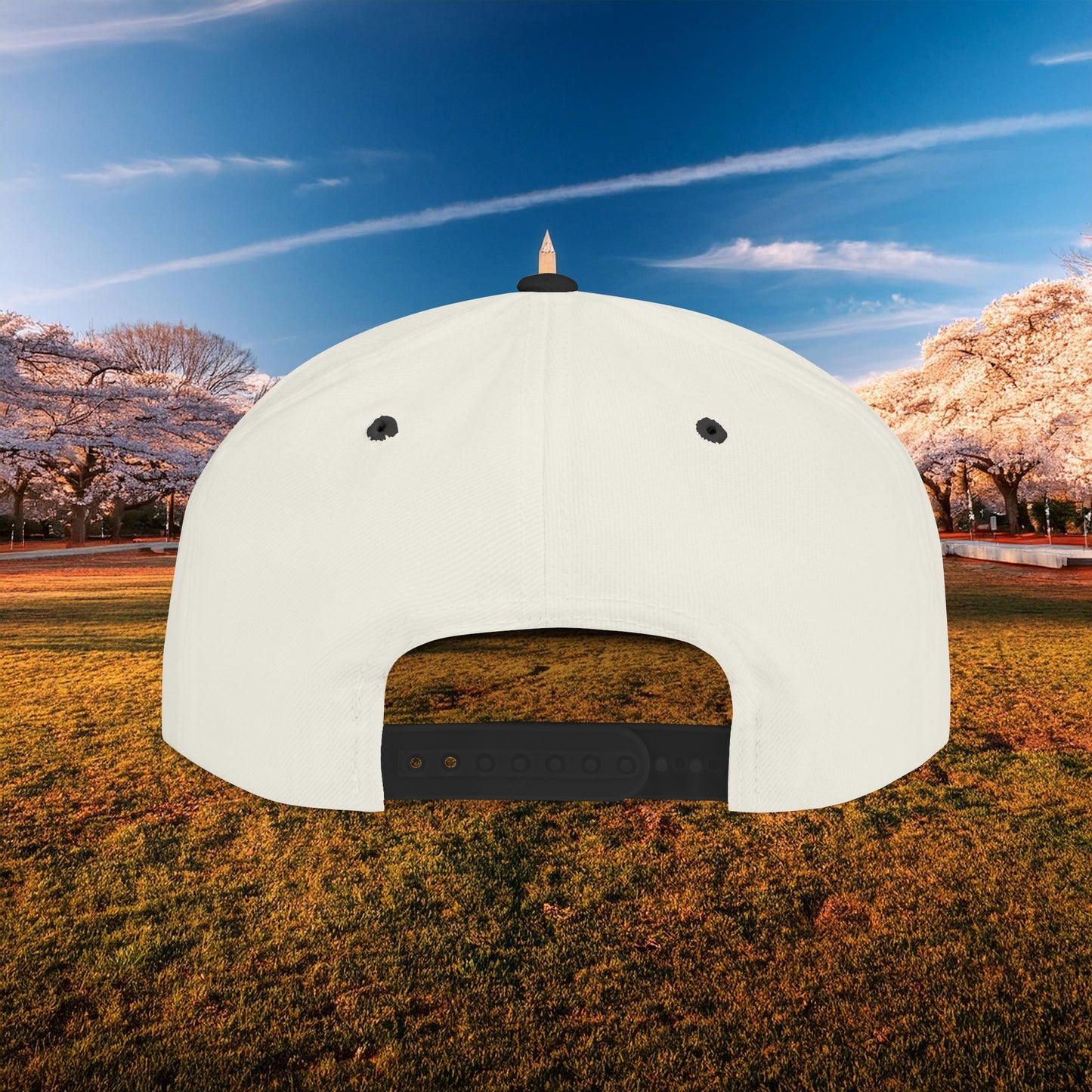 Washington DC Football Logo Flat Bill Snapback