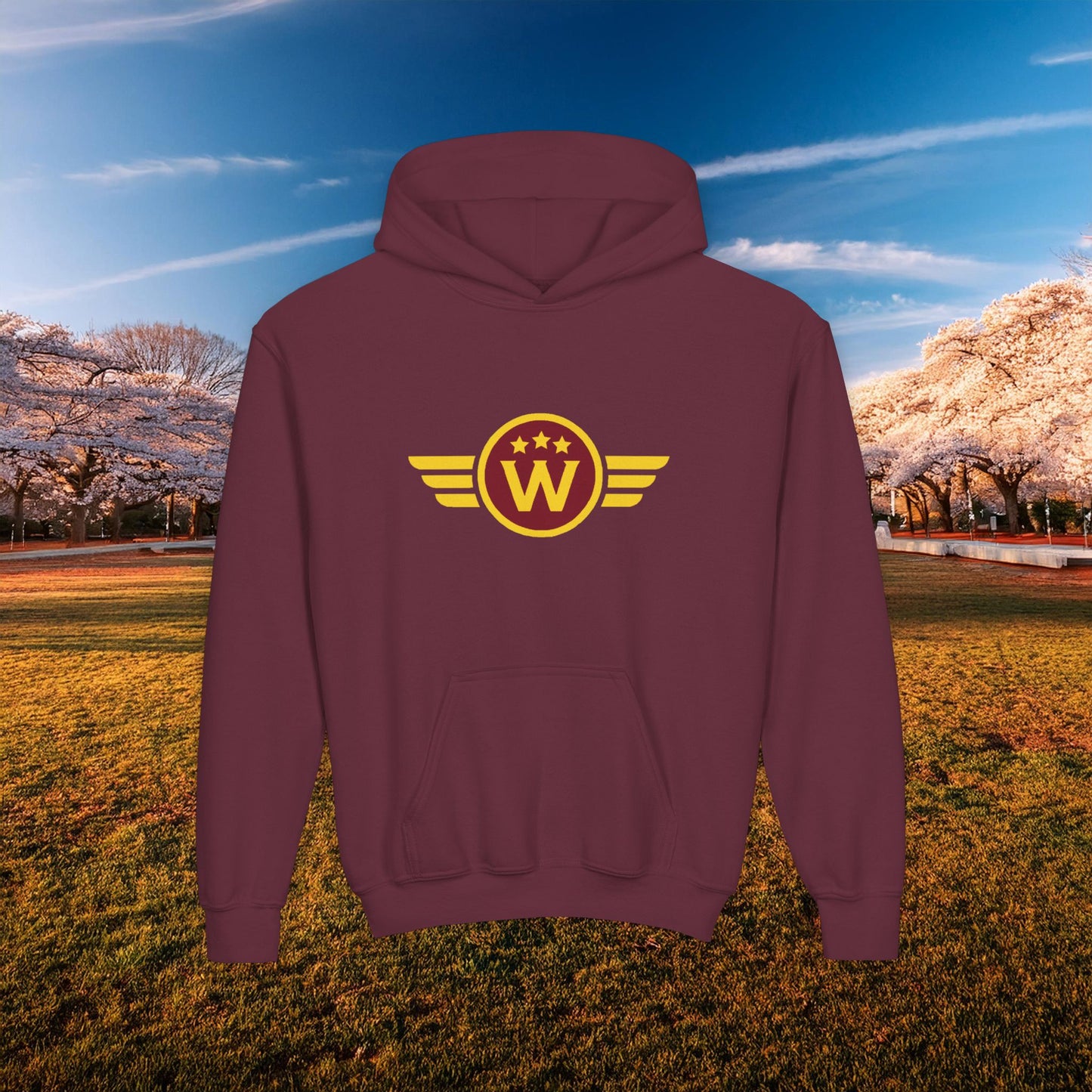 Washington DC Football Logo Youth Hoodie