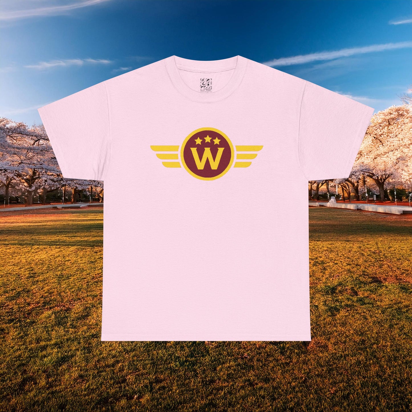 Washington DC Football Logo Tee