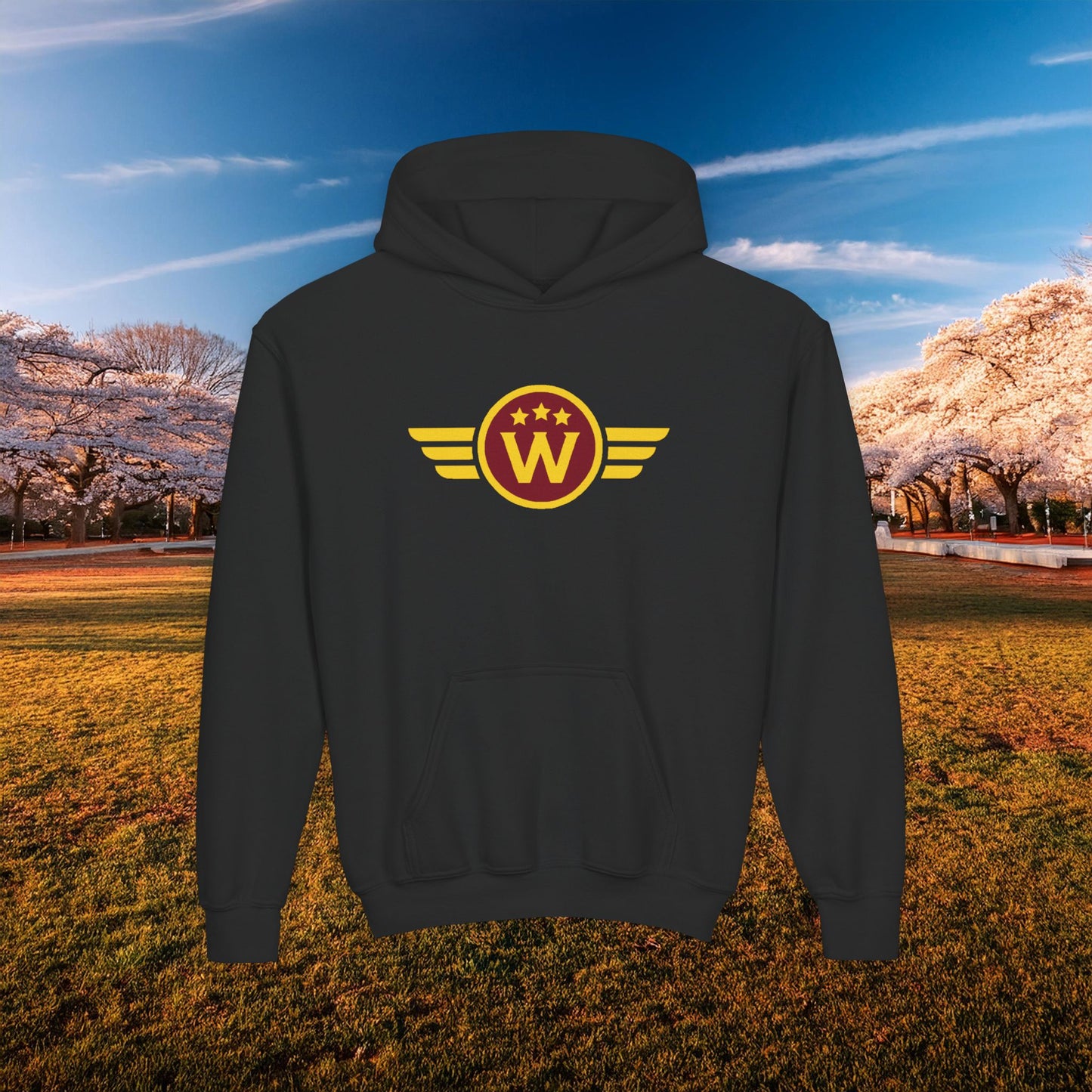 Washington Daniels Youth Hoodie
