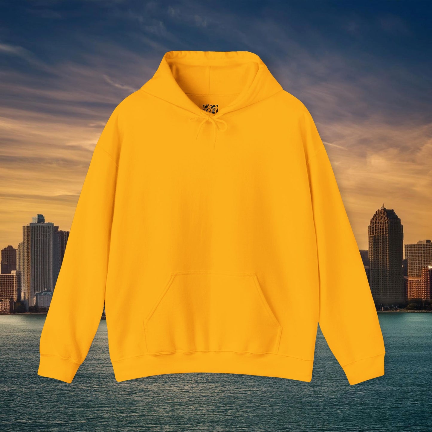 Detroit Football Logo Hoodie