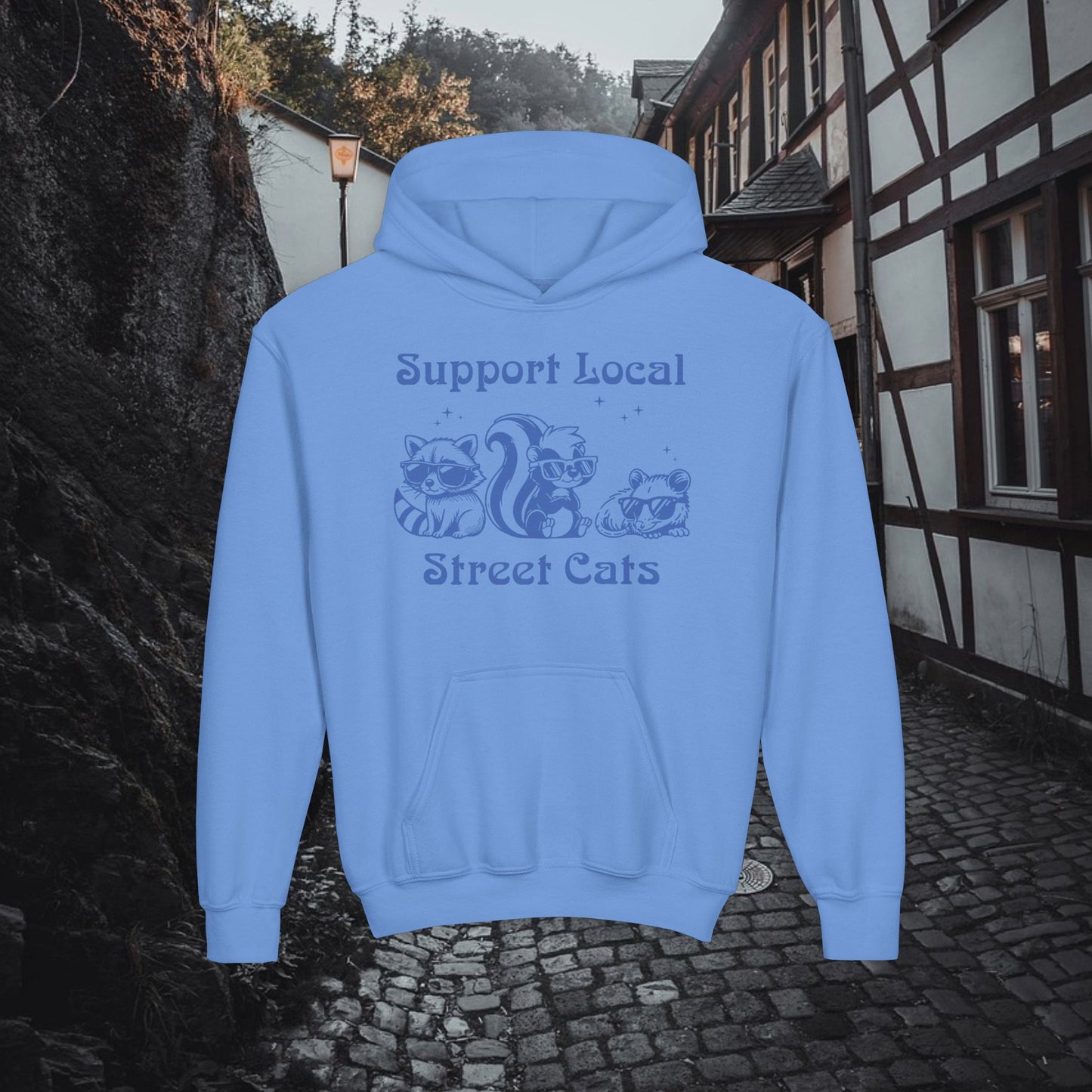 Support Local Street Cats Youth Hoodie