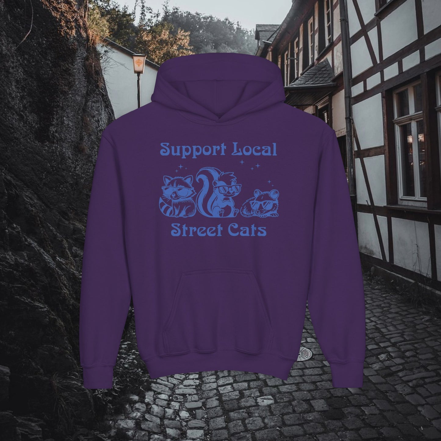 Support Local Street Cats Youth Hoodie