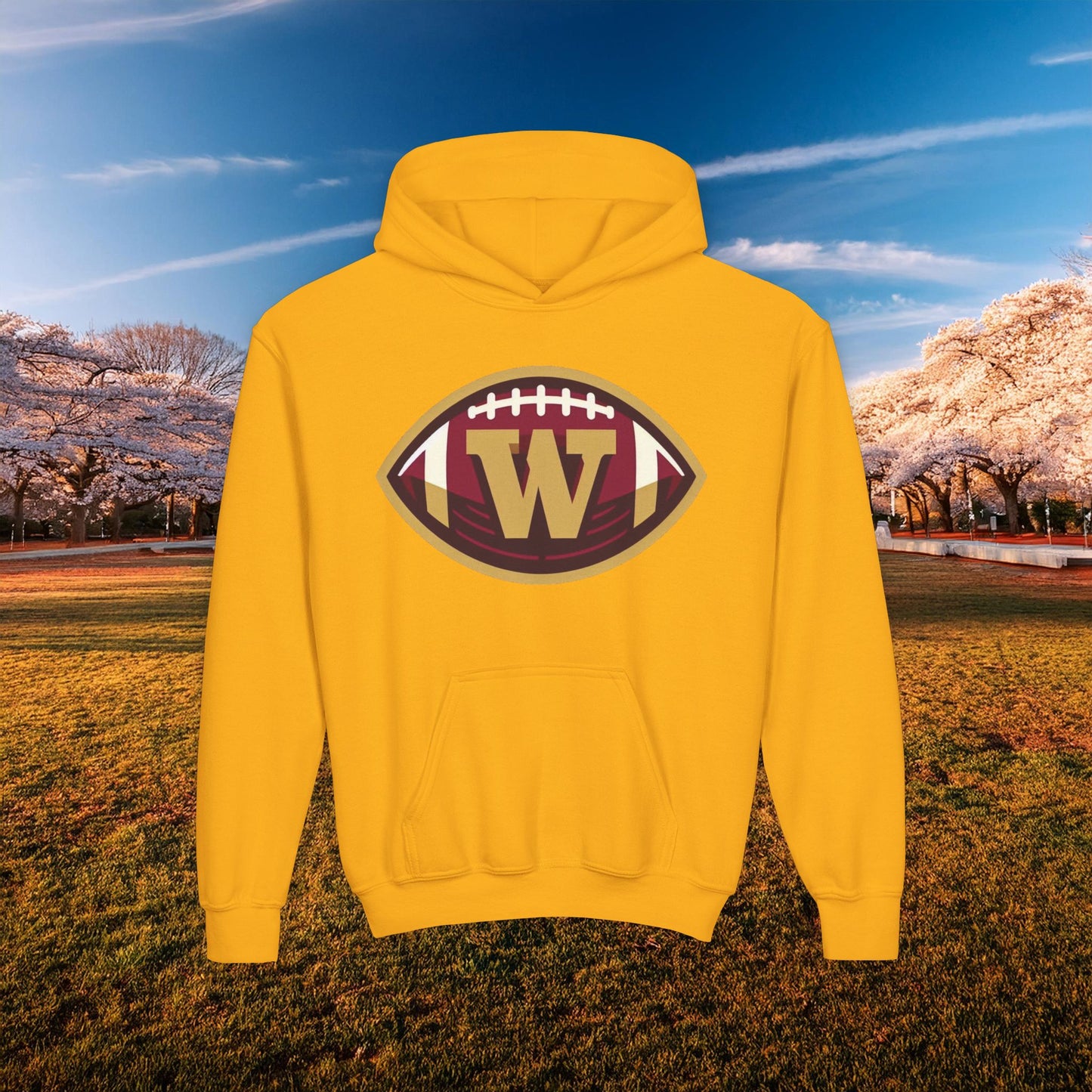 Washington Football Logo Youth Hoodie