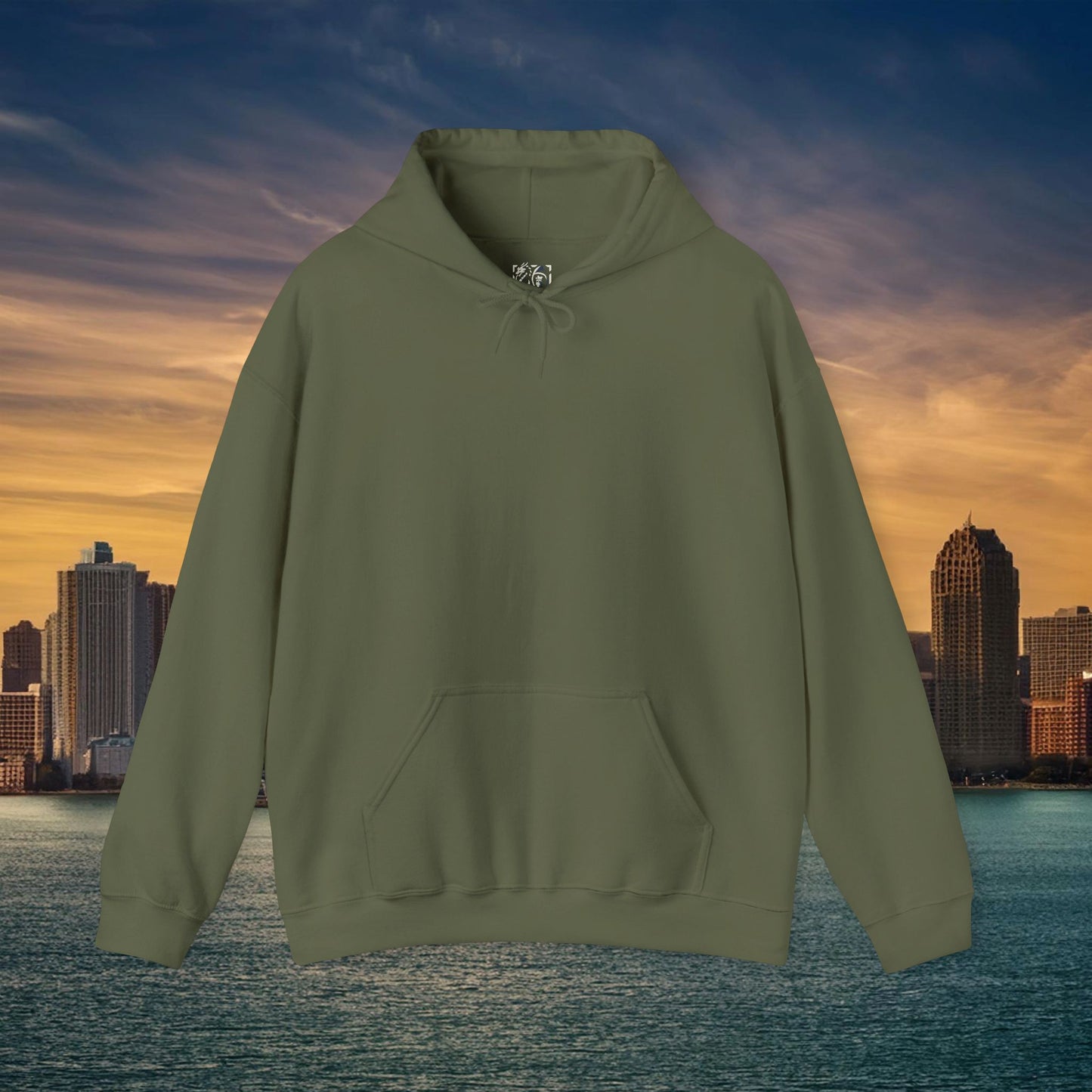 Detroit Football Logo Hoodie