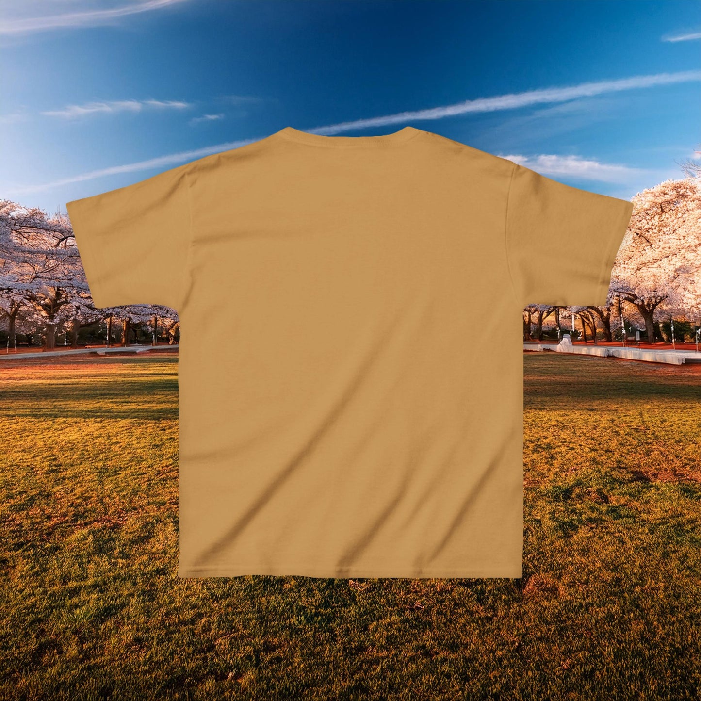 Washington DC Football Logo Kids Tee