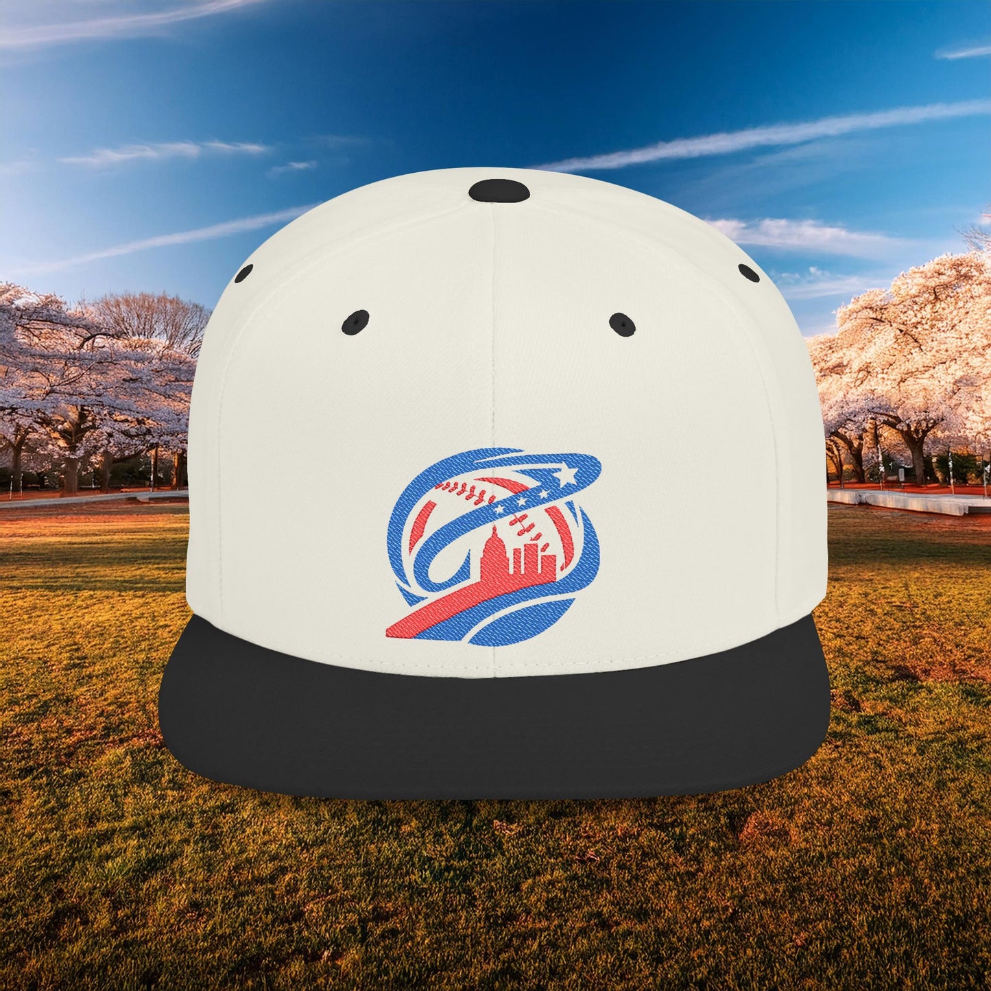 Abstract Washington Baseball Logo Flat Bill Snapback