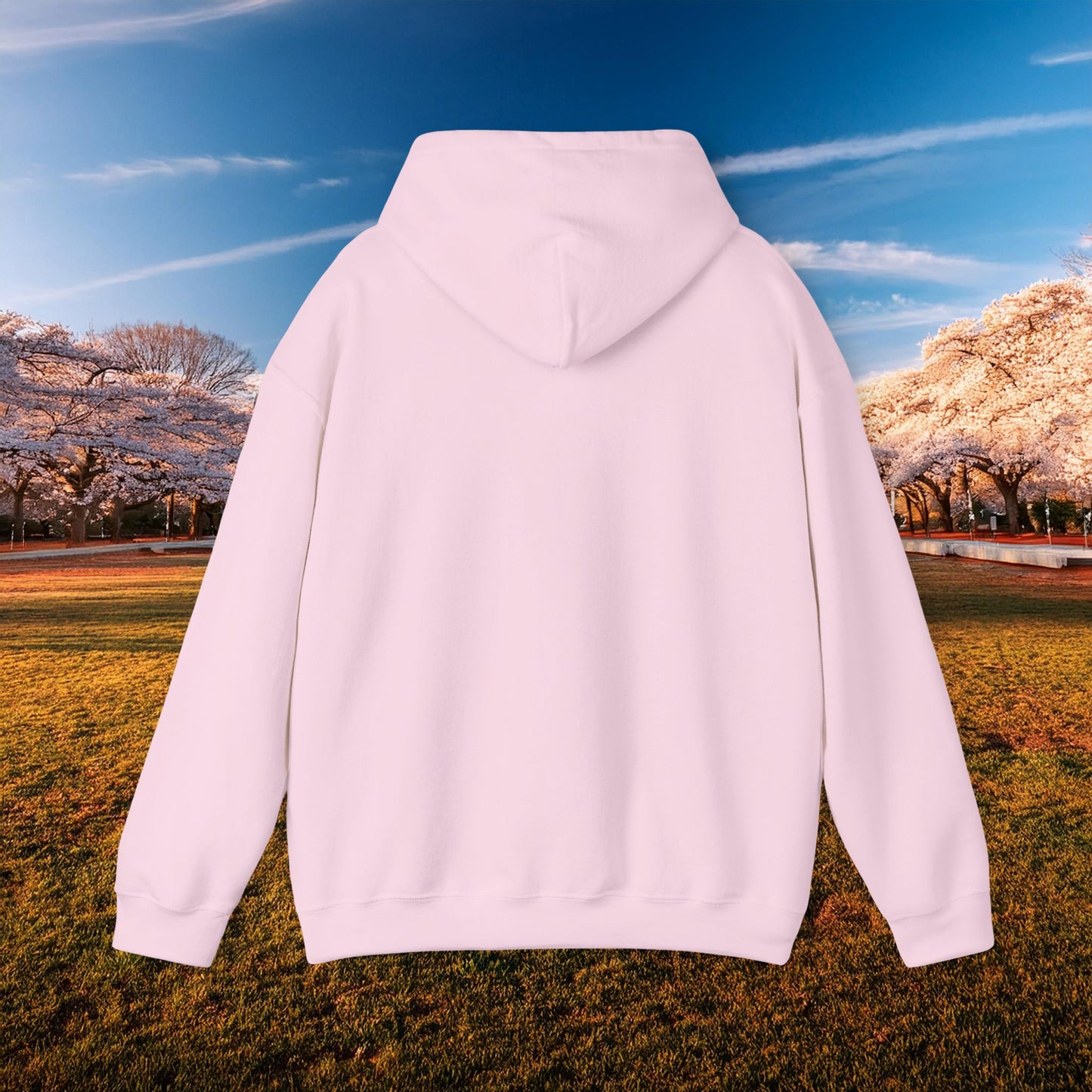 Washington Football Logo Hoodie