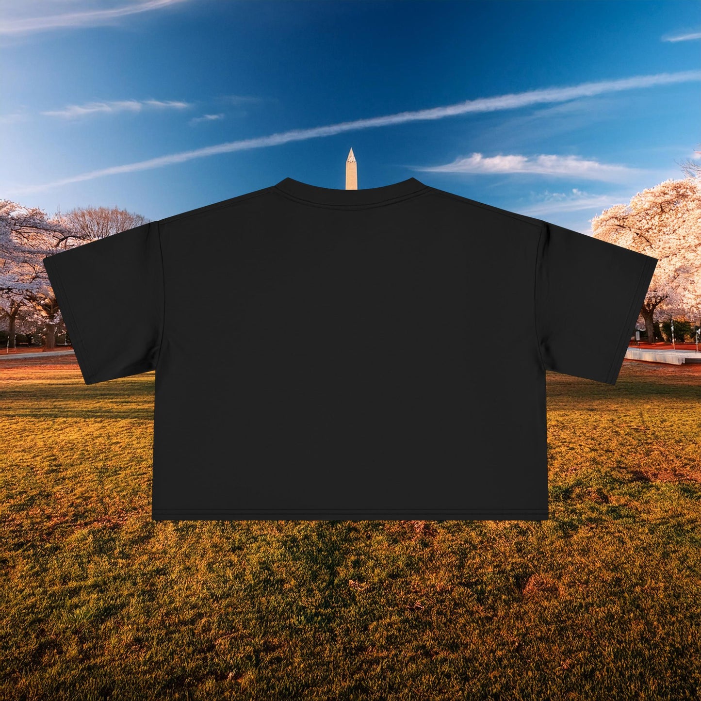 Psychedelic Wizard's Player Women's Crop Tee