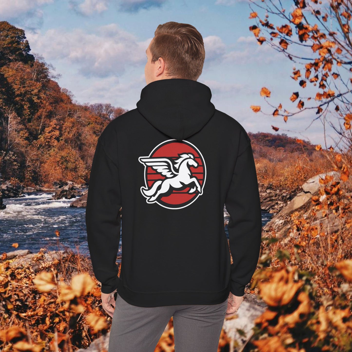 Loudoun Pegasus Hoodie