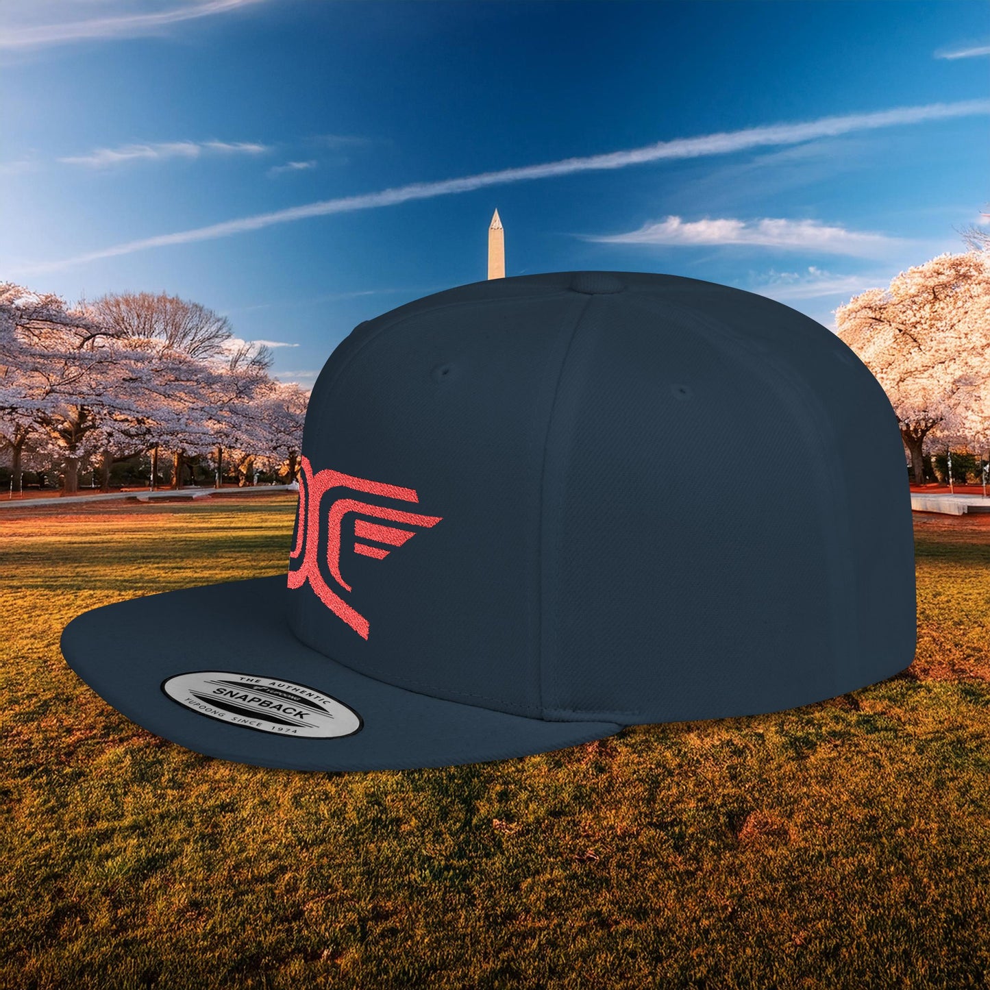 Winged DC Flat Bill Snapback