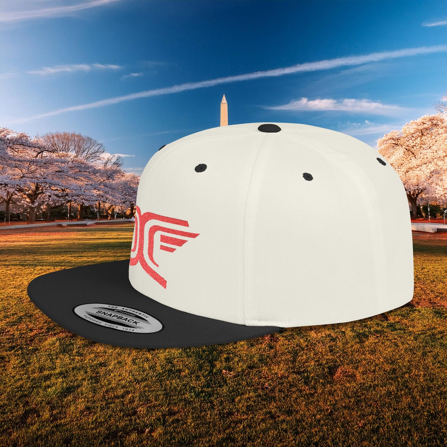 Winged DC Flat Bill Snapback