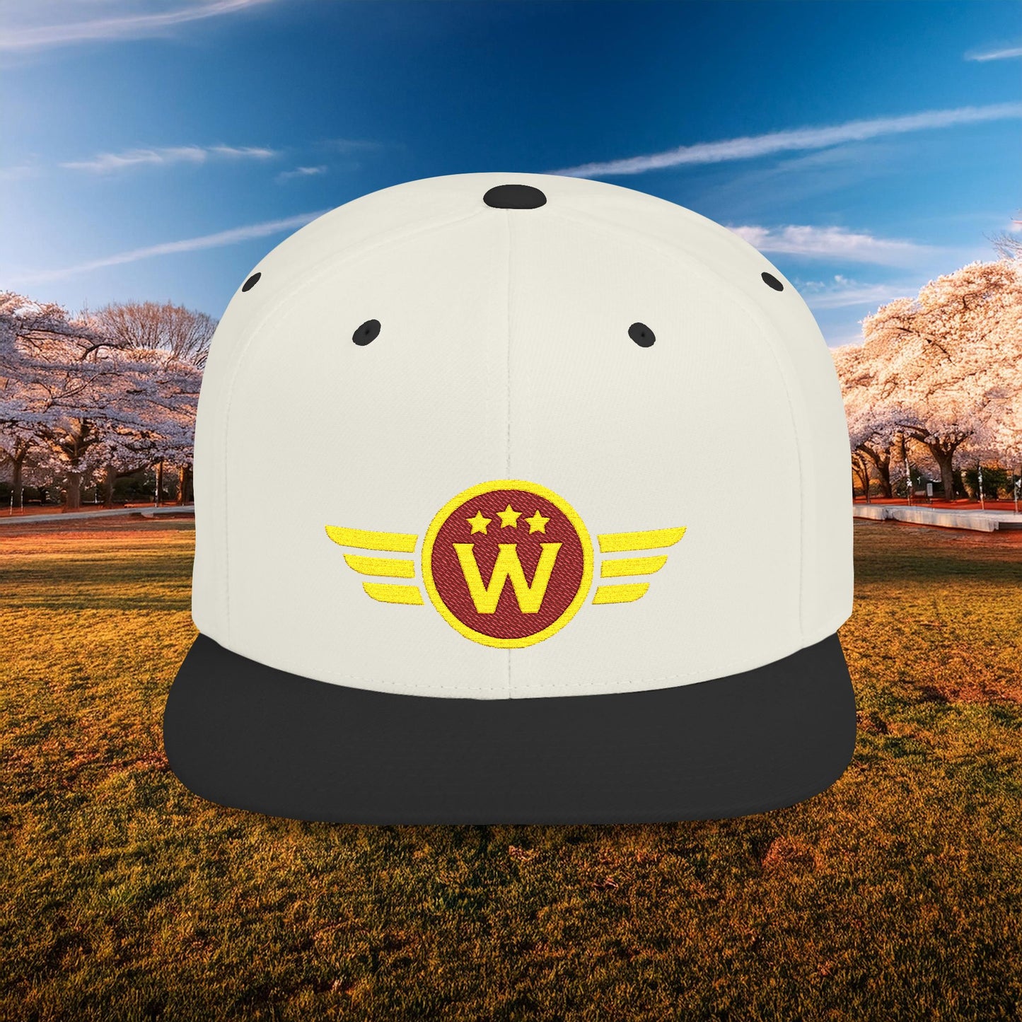 Washington DC Football Logo Flat Bill Snapback