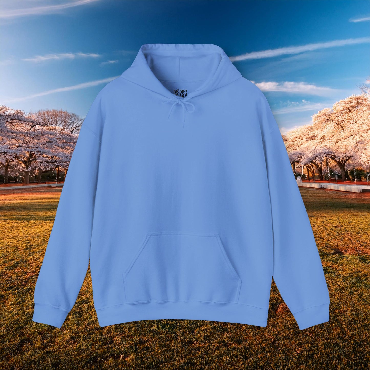 Washington Baseball Cherry Blossom Hoodie