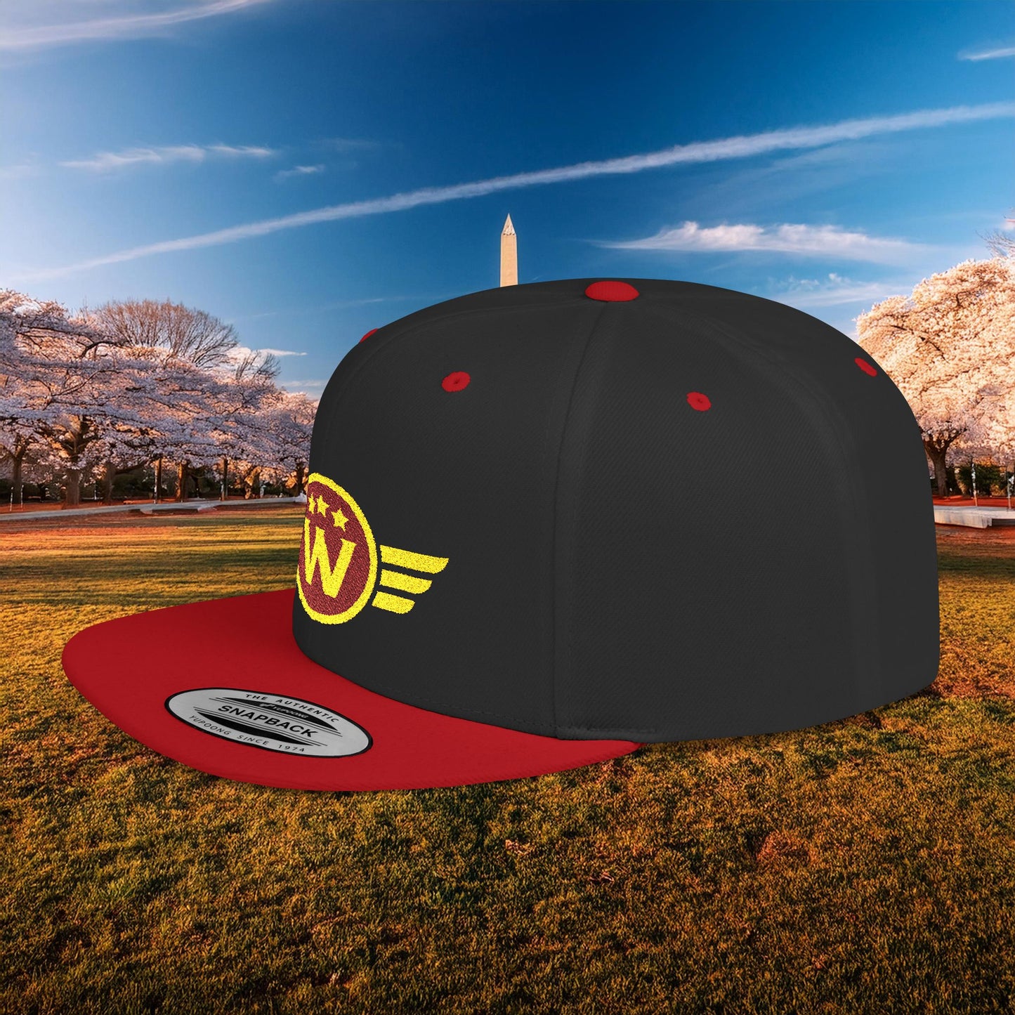 Washington DC Football Logo Flat Bill Snapback