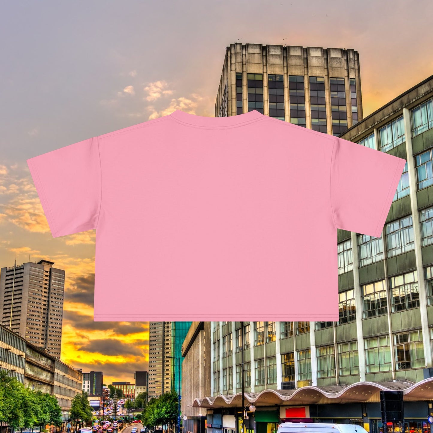 Villans Women's Crop Tee