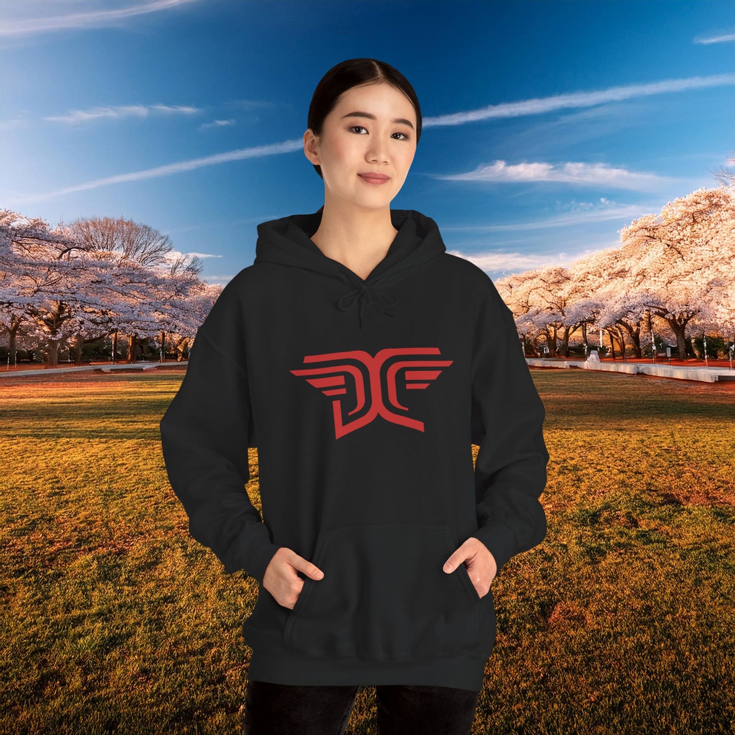 Winged DC Hoodie