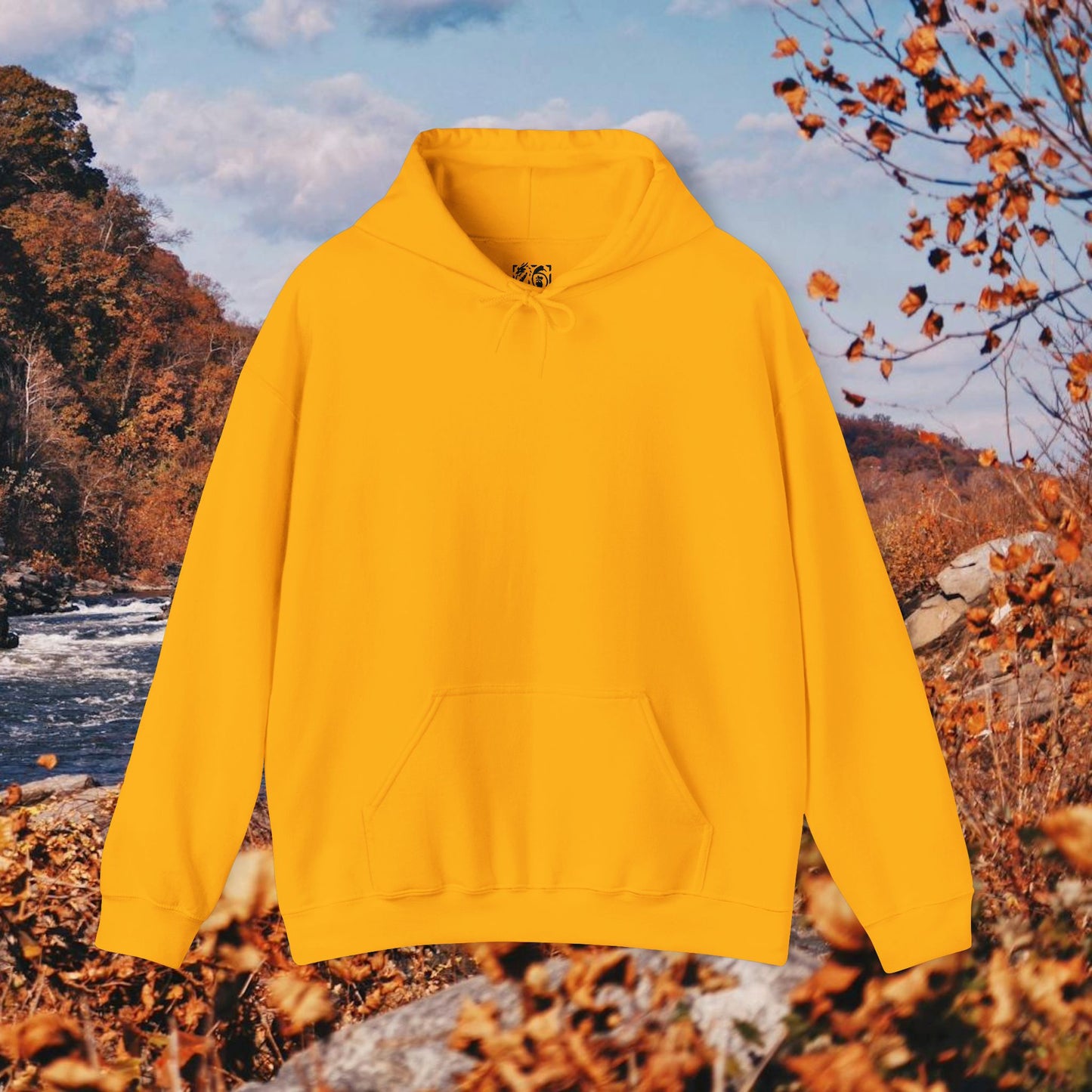 Raccoon Coffee Hoodie