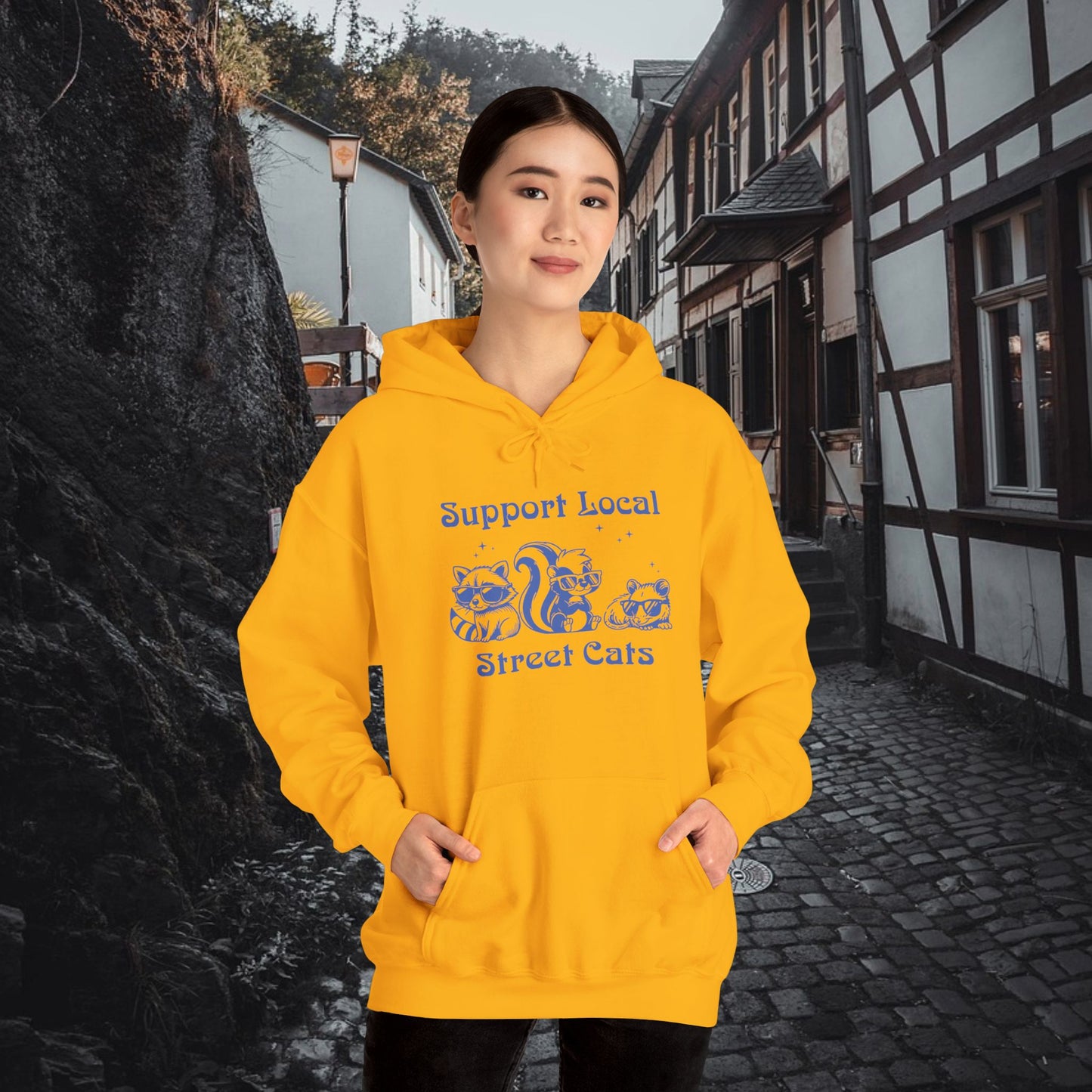 Support Local Street Cats Hoodie