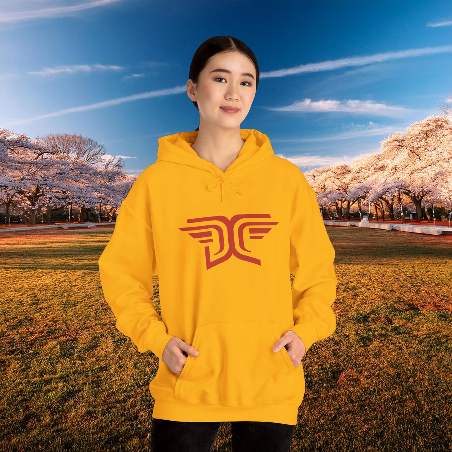 Winged DC Hoodie