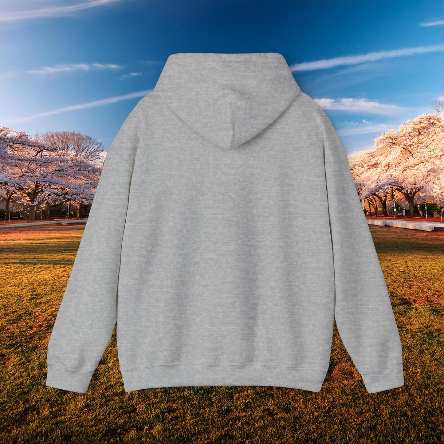 DC United Logo Hoodie