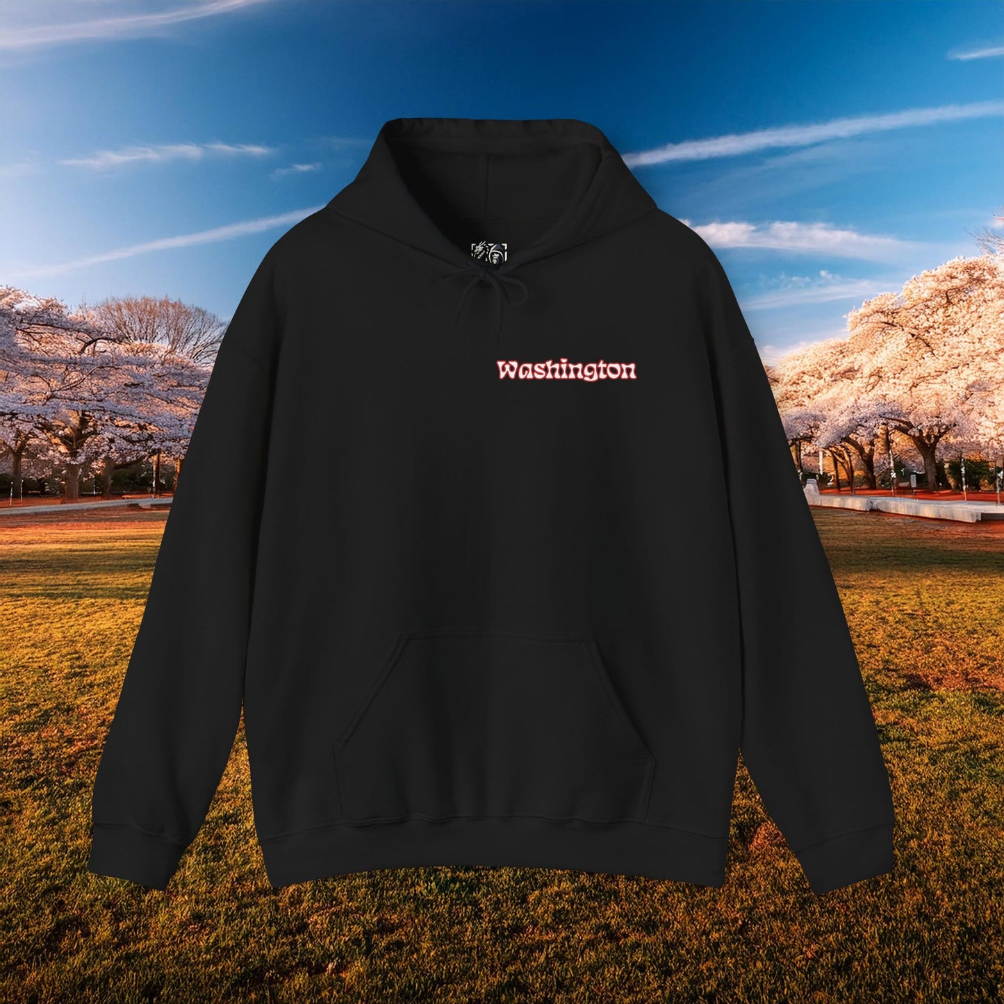 Magical Mystery Nats Hoodie