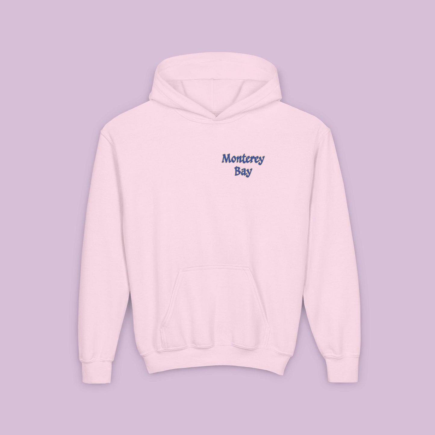 Sea Otter Soccer Logo Youth Hoodie