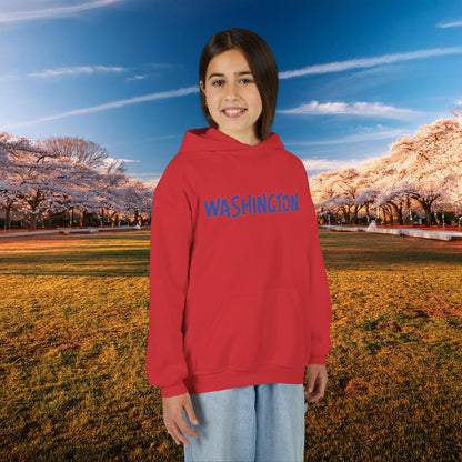 Washington Spirit Eagle Design Youth Hoodie