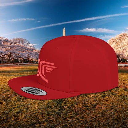 Winged DC Flat Bill Snapback