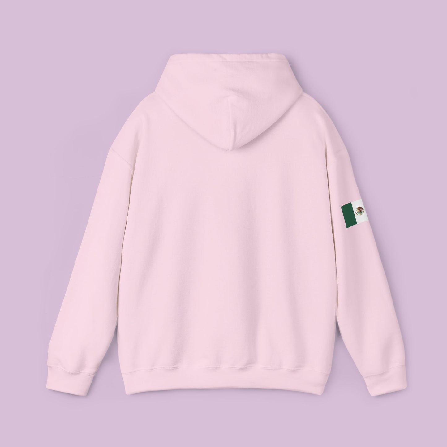 Powered By Immigrants Hoodie