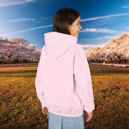 Winged DC Youth Hoodie