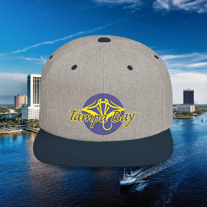 Tampa Bay Baseball Flat Bill Snapback