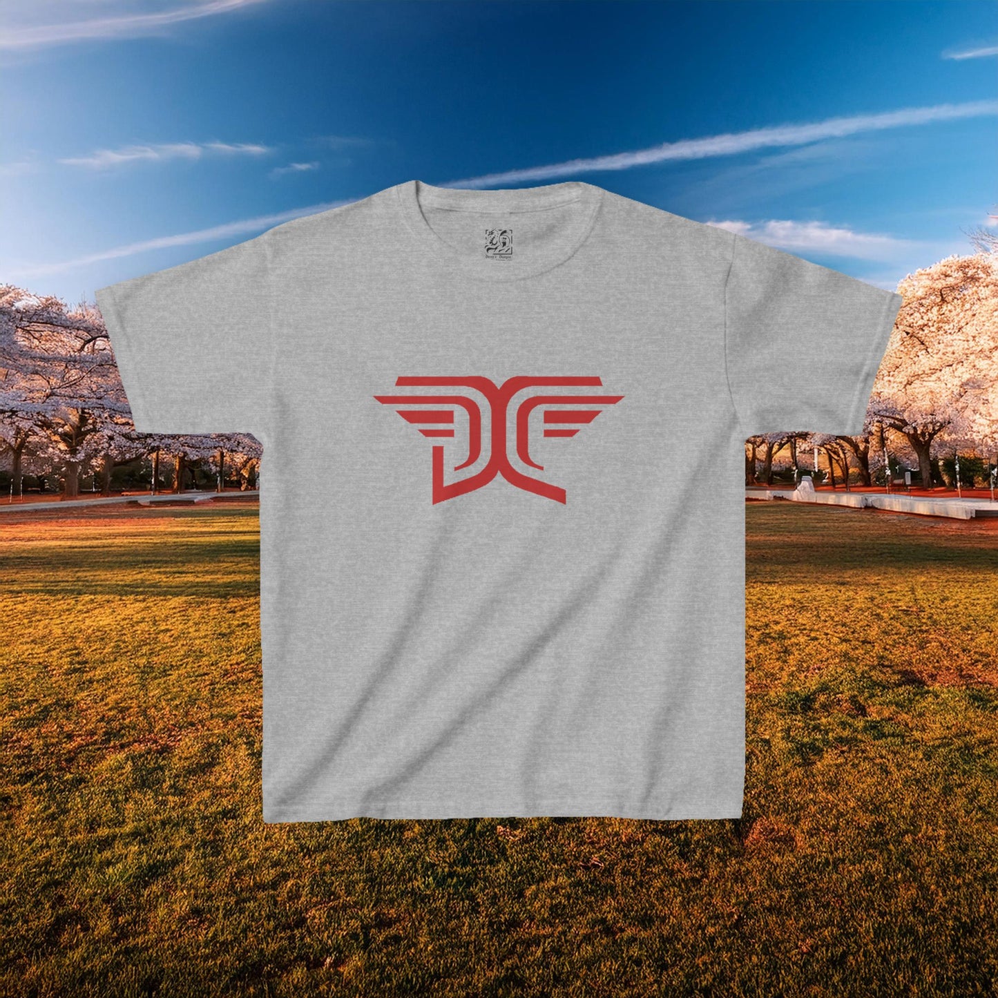 Winged DC Kids Tee
