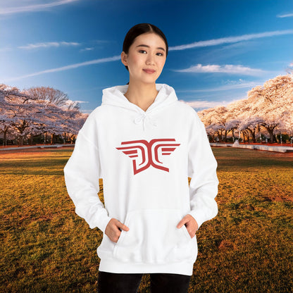 Winged DC Hoodie