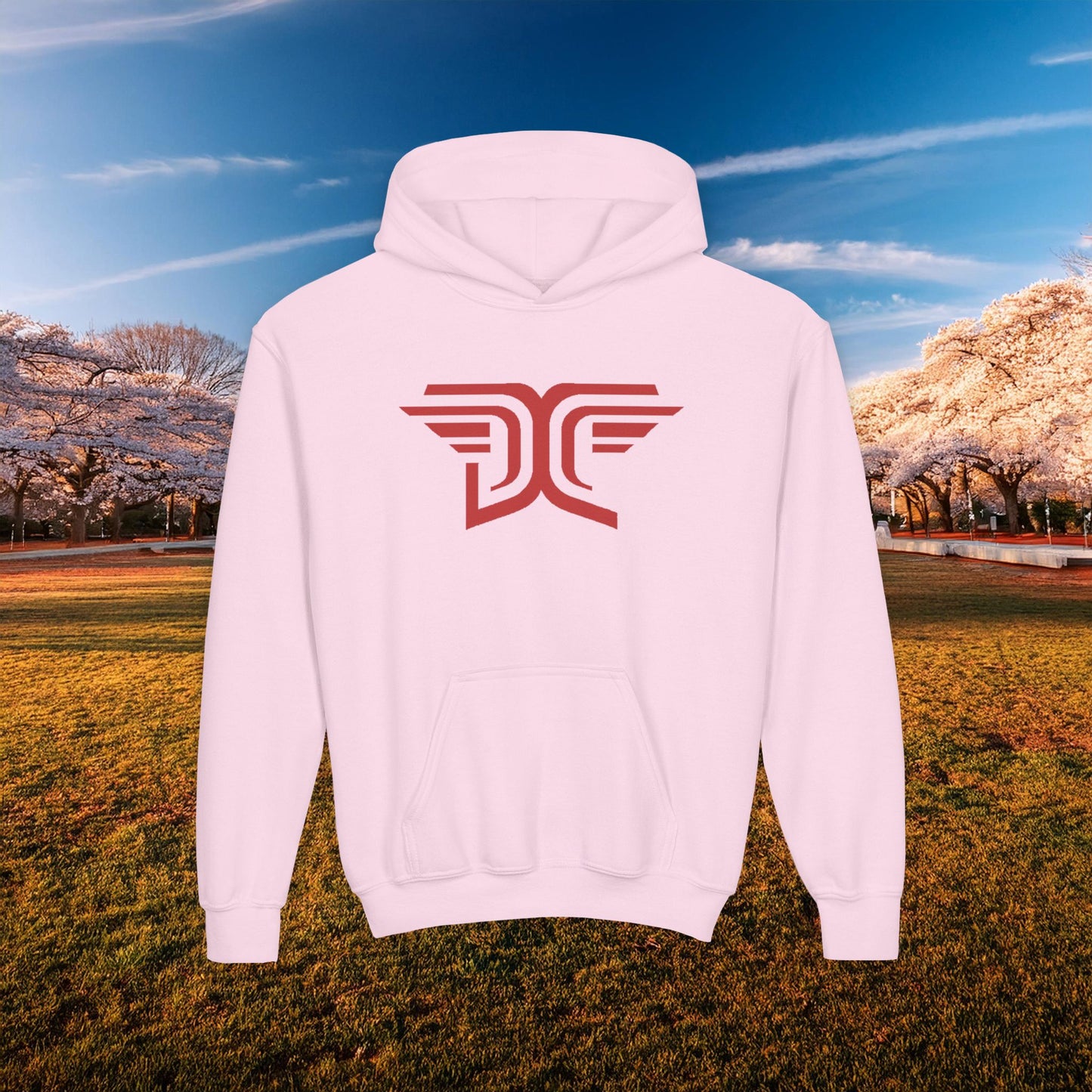 Winged DC Youth Hoodie