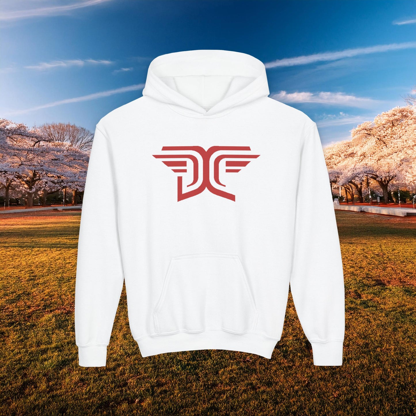 Winged DC Youth Hoodie