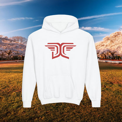 Winged DC Youth Hoodie