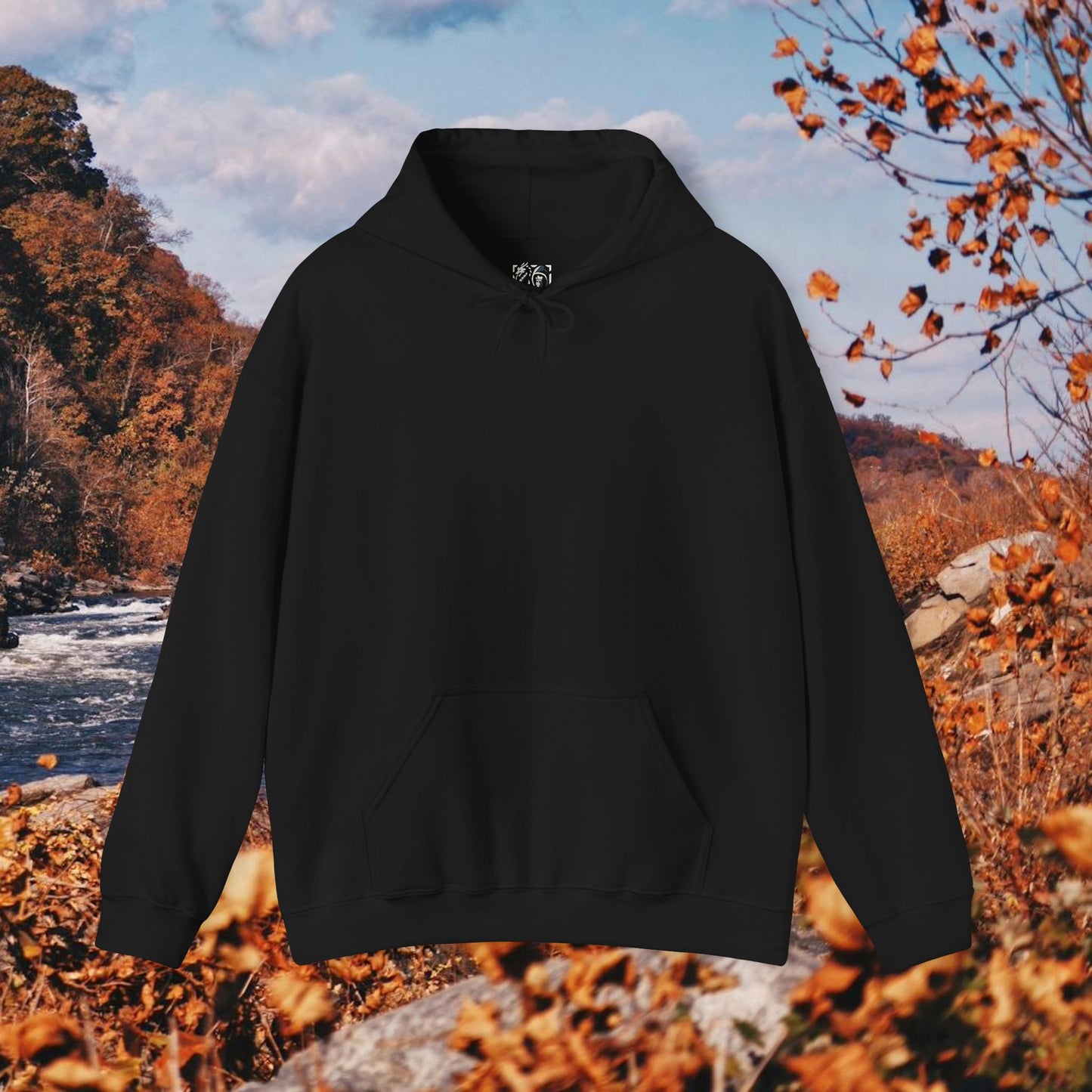 Raccoon Coffee Hoodie