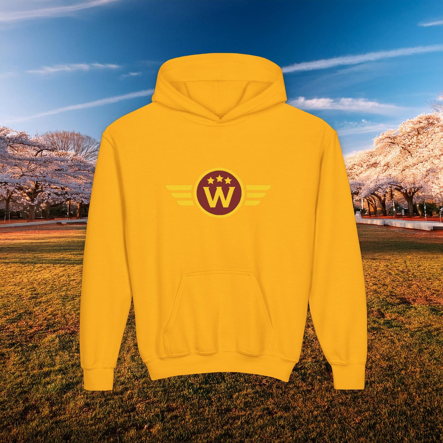Washington DC Football Logo Youth Hoodie