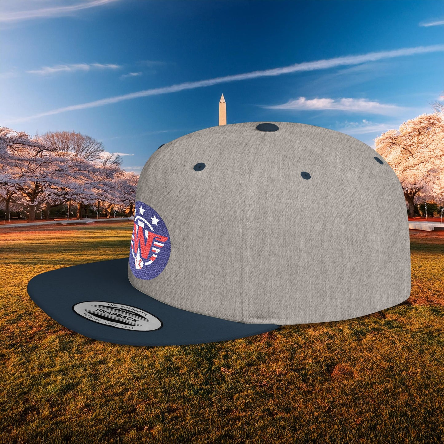 Nats Logo Flat Bill Snapback