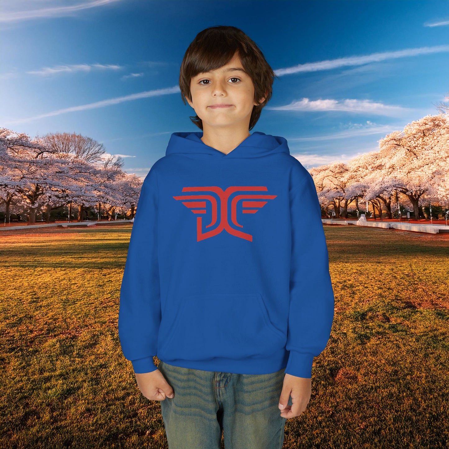Winged DC Youth Hoodie