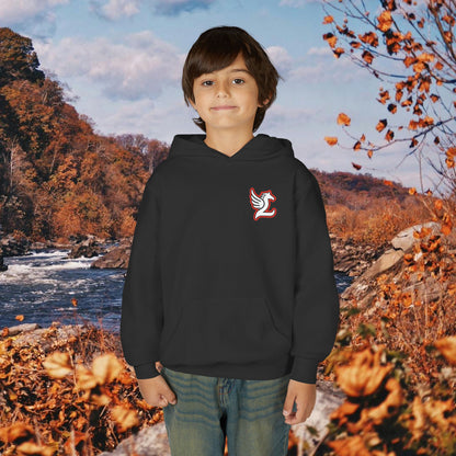 Loudoun Pegasus Youth Hoodie