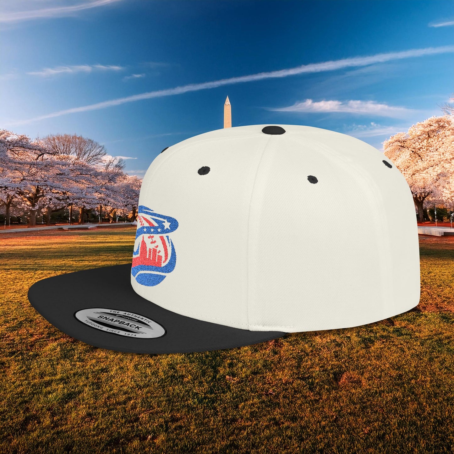 Abstract Washington Baseball Logo Flat Bill Snapback